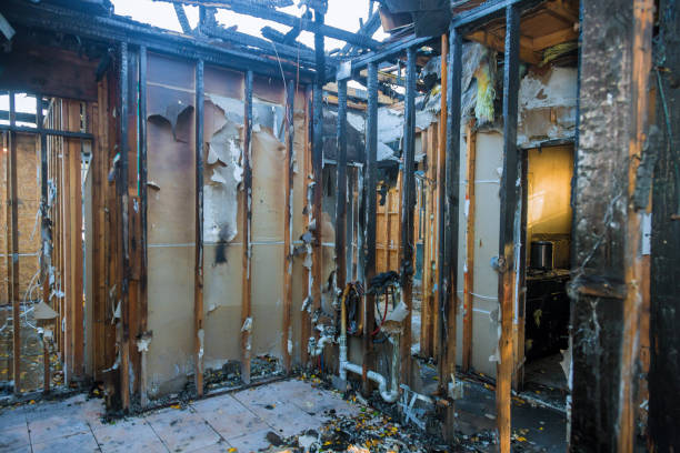 Professional Fire Damage Removal technician working in Lamar, CO